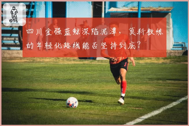 四川金强蓝鲸深陷泥潭，莫科教练的年轻化路线能否坚持到底？