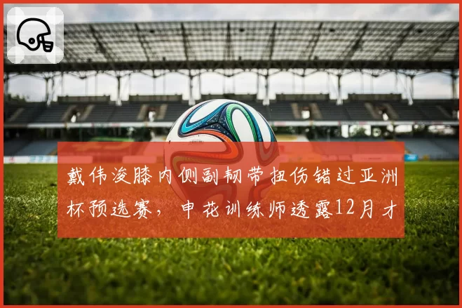 戴伟浚膝内侧副韧带扭伤错过亚洲杯预选赛，申花训练师透露12月才能复出