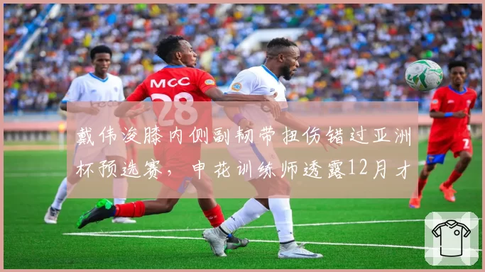 戴伟浚膝内侧副韧带扭伤错过亚洲杯预选赛，申花训练师透露12月才能复出
